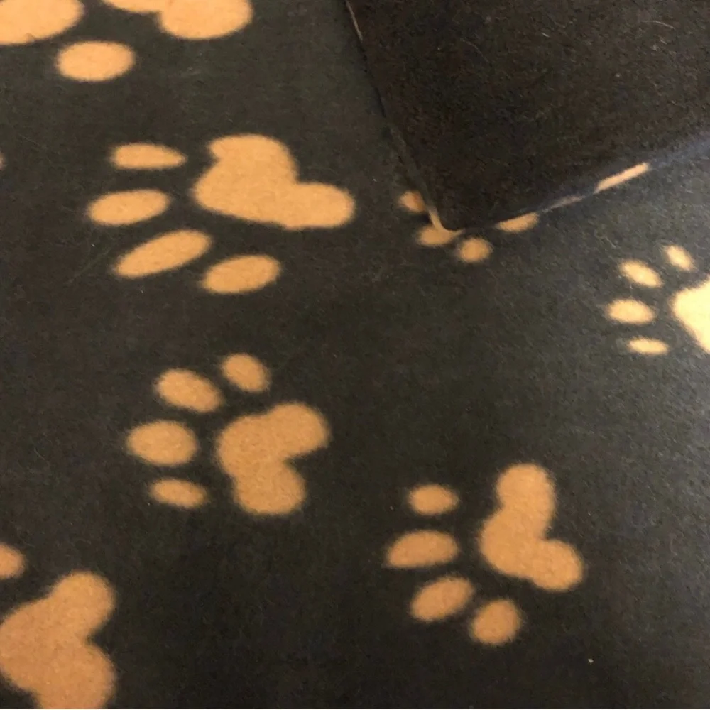 Cat Fleece Reversible Blanket size 22”x26”